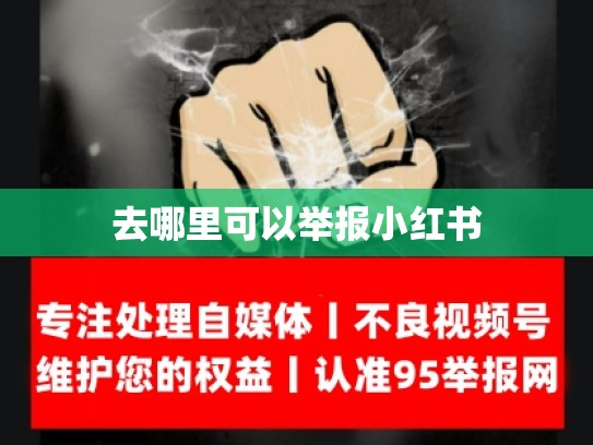 去哪里可以举报小红书