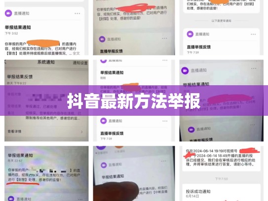 抖音最新方法举报