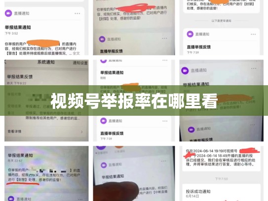 视频号举报率在哪里看