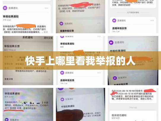 快手上哪里看我举报的人