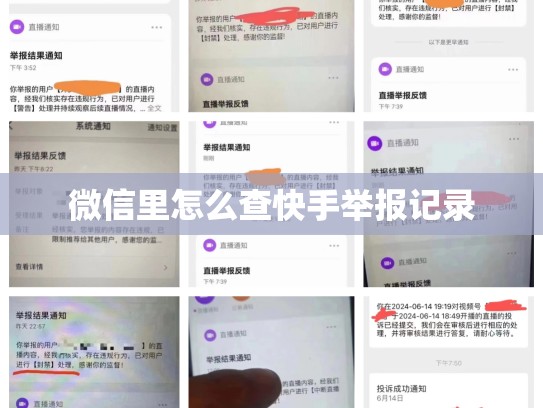 微信里怎么查快手举报记录