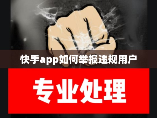 快手app如何举报违规用户