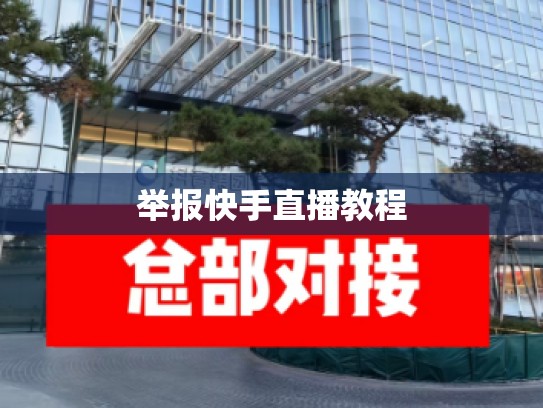 举报快手直播教程