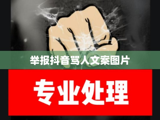 举报抖音骂人文案图片