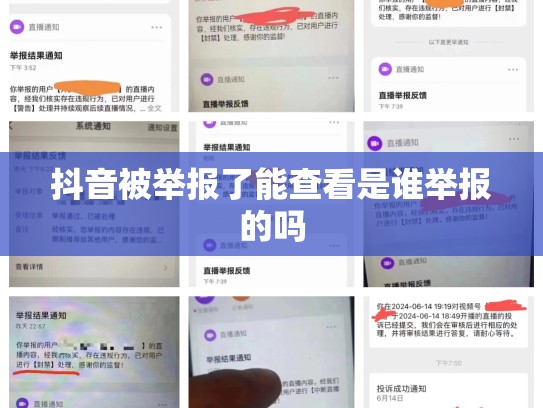 抖音被举报了能查看是谁举报的吗
