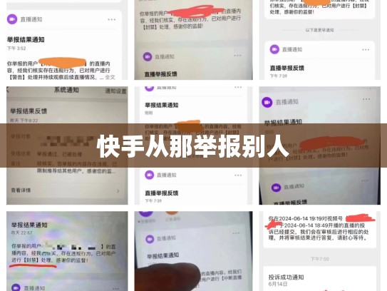 快手从那举报别人