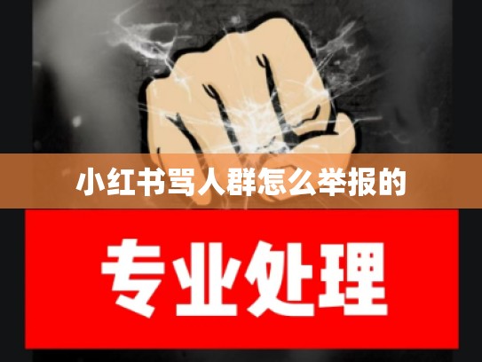 小红书骂人群怎么举报的
