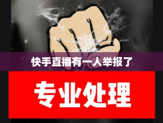 快手直播有一人举报了