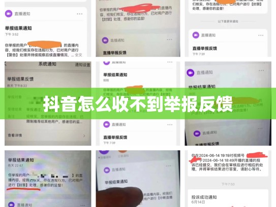 抖音怎么收不到举报反馈