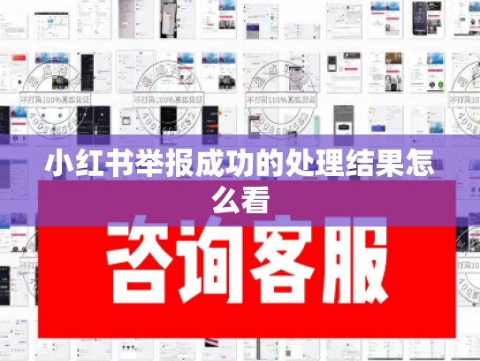 小红书举报成功的处理结果怎么看