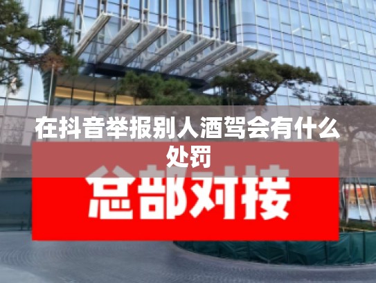 在抖音举报别人酒驾会有什么处罚