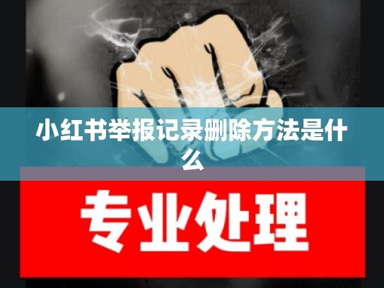 小红书举报记录删除方法是什么