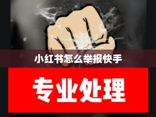 小红书怎么举报快手