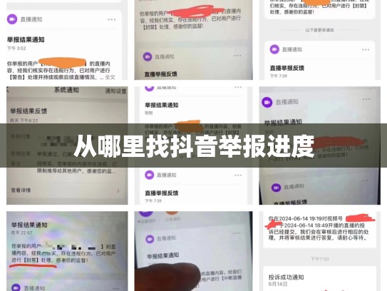 从哪里找抖音举报进度