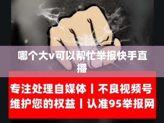 哪个大v可以帮忙举报快手直播