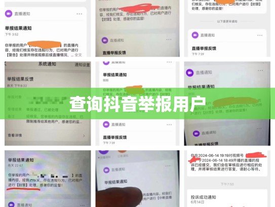 查询抖音举报用户
