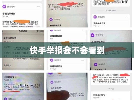 快手举报会不会看到