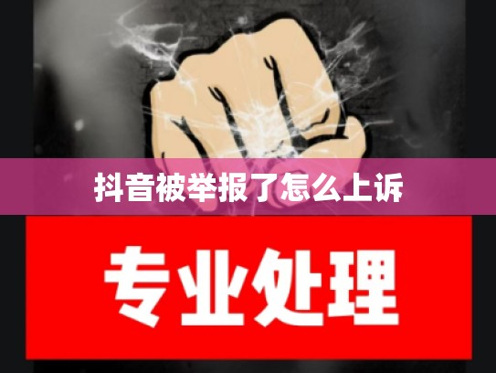 抖音被举报了怎么上诉