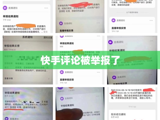 快手评论被举报了