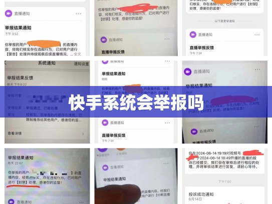 快手系统会举报吗