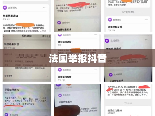 法国举报抖音