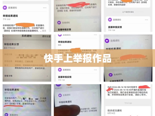 快手上举报作品