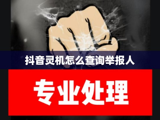 抖音灵机怎么查询举报人