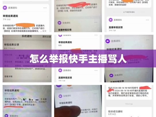 怎么举报快手主播骂人