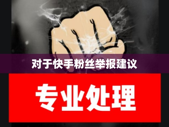对于快手粉丝举报建议