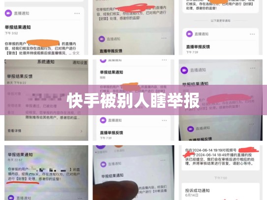快手被别人瞎举报