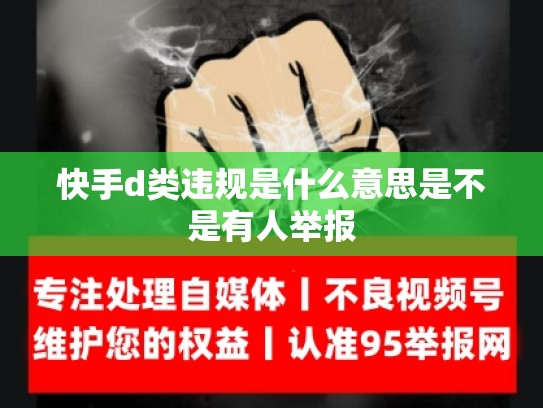 快手d类违规是什么意思是不是有人举报
