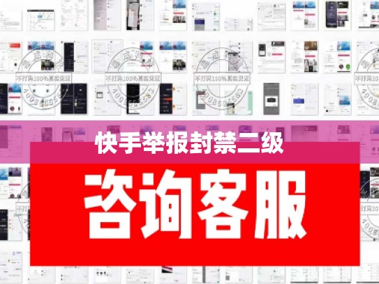 快手举报封禁二级