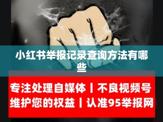 小红书举报记录查询方法有哪些