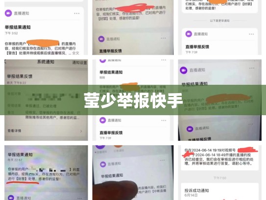 莹少举报快手