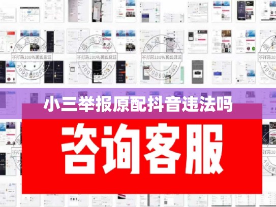 小三举报原配抖音违法吗