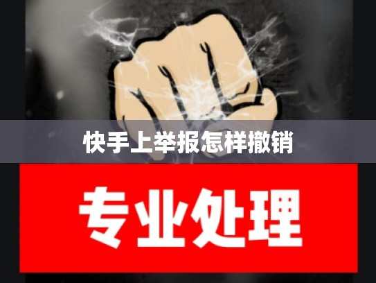 快手上举报怎样撤销