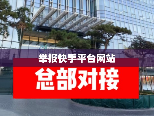 举报快手平台网站
