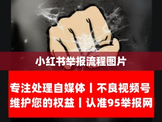 小红书举报流程图片