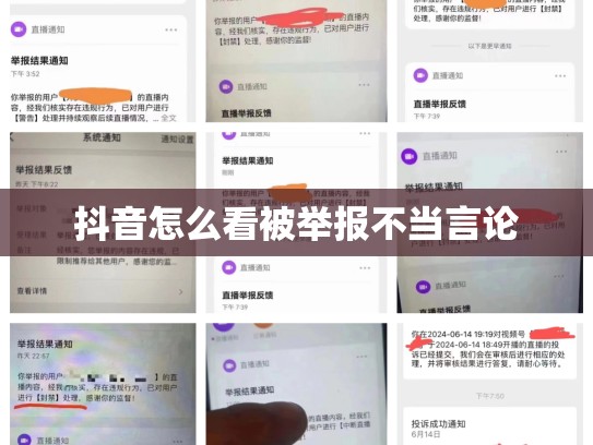 抖音怎么看被举报不当言论