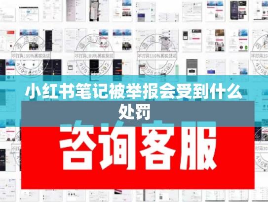 小红书笔记被举报会受到什么处罚