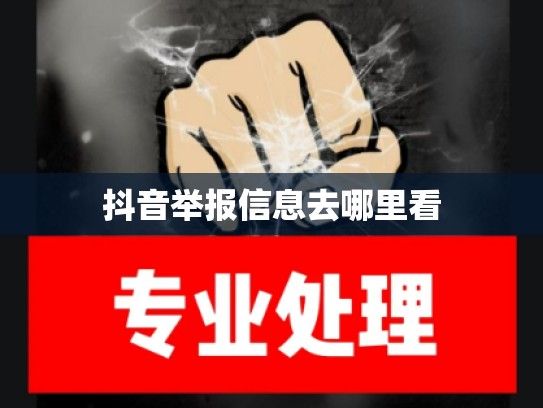 抖音举报信息去哪里看