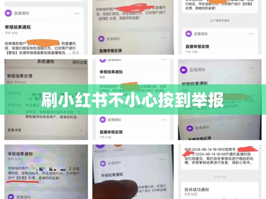 刷小红书不小心按到举报