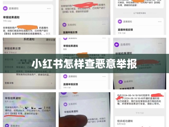 小红书怎样查恶意举报