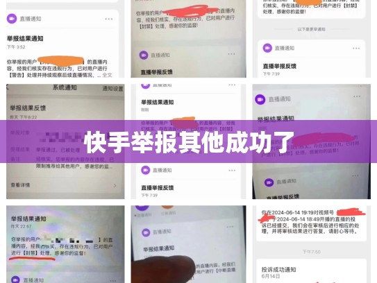 快手举报其他成功了