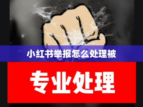 小红书举报怎么处理被