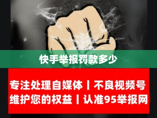 快手举报罚款多少