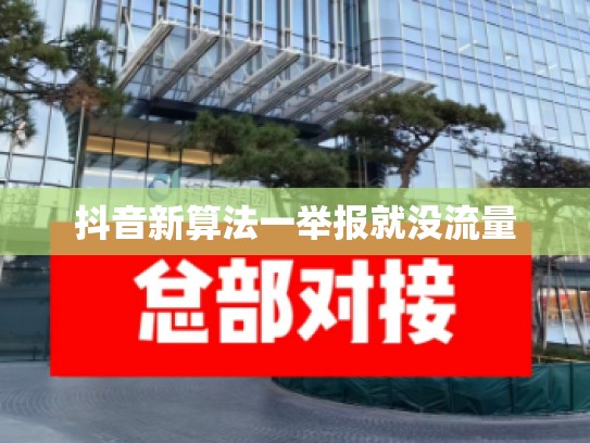 抖音新算法一举报就没流量