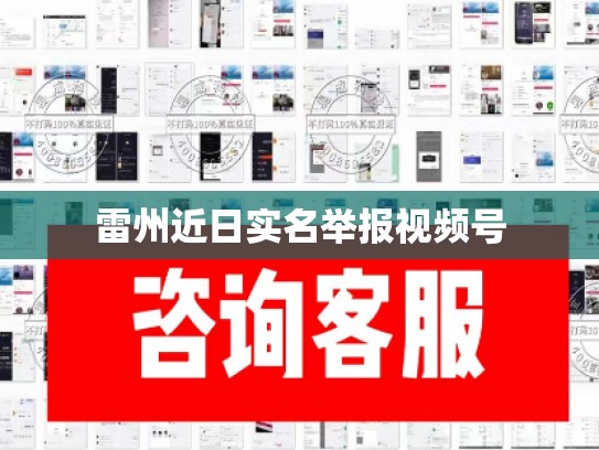 雷州近日实名举报视频号