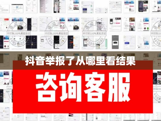 抖音举报了从哪里看结果