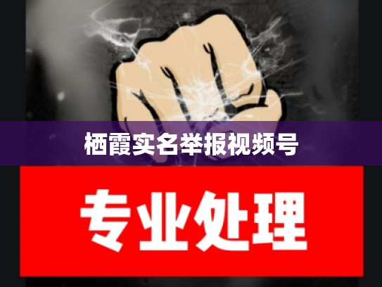 栖霞实名举报视频号